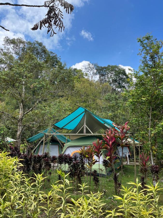 Sailor's Rest Kampung Janda Baik