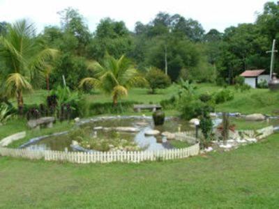 Sailor's Rest Homestay